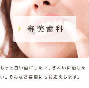 審美歯科