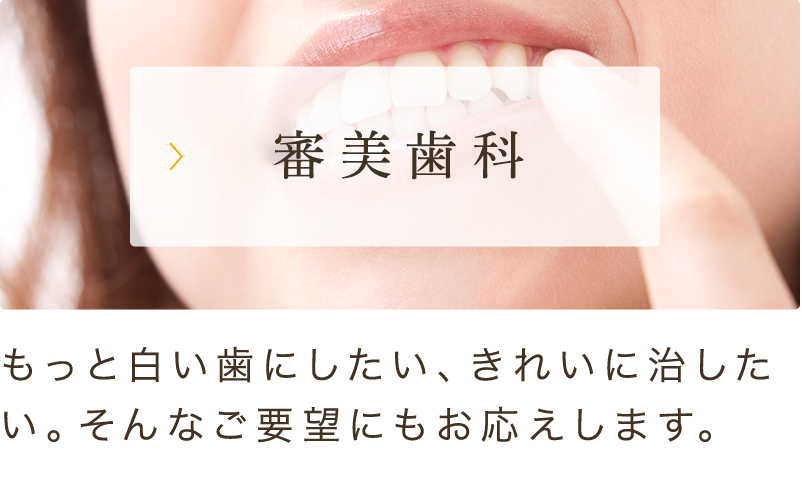 審美歯科